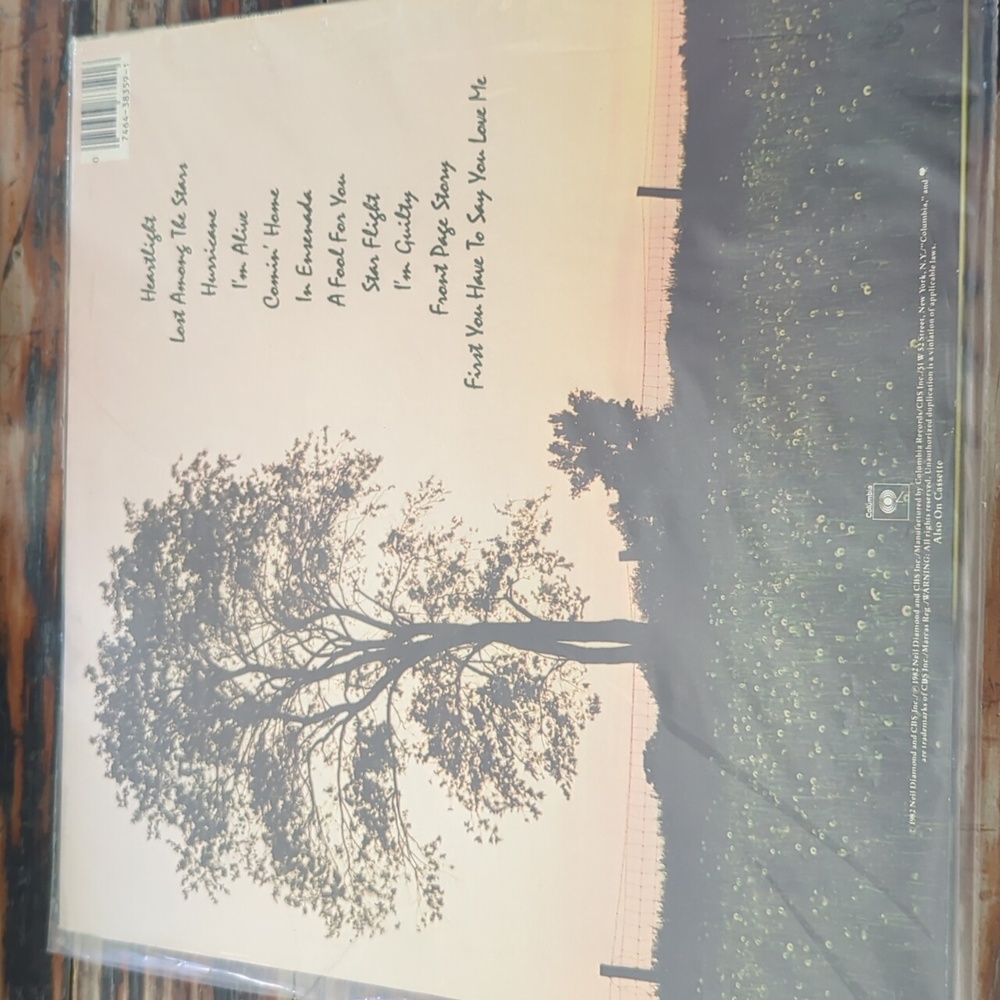 Neil Diamond - Picture 2 of 2